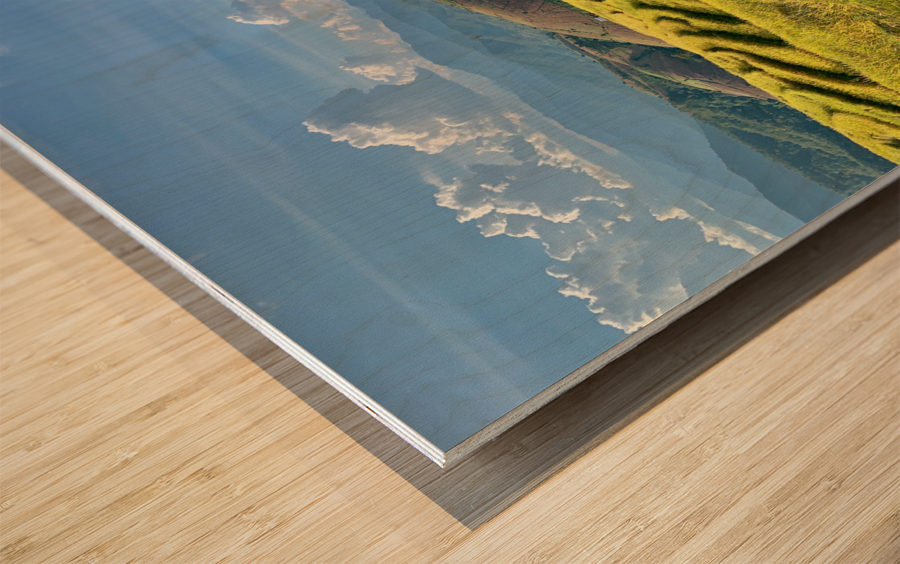 Amazing Rice Fields Wood print