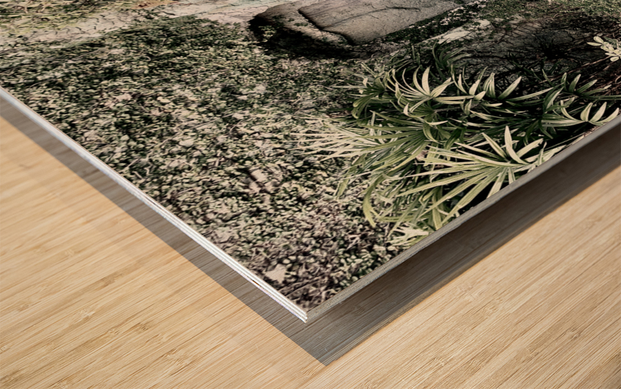 Enter the Cave Wood print