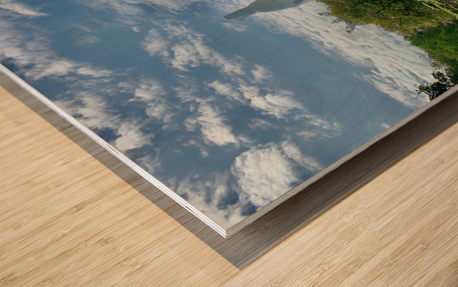 Chua Linh Ung Pagoda Da Nang Vietnam Wood print