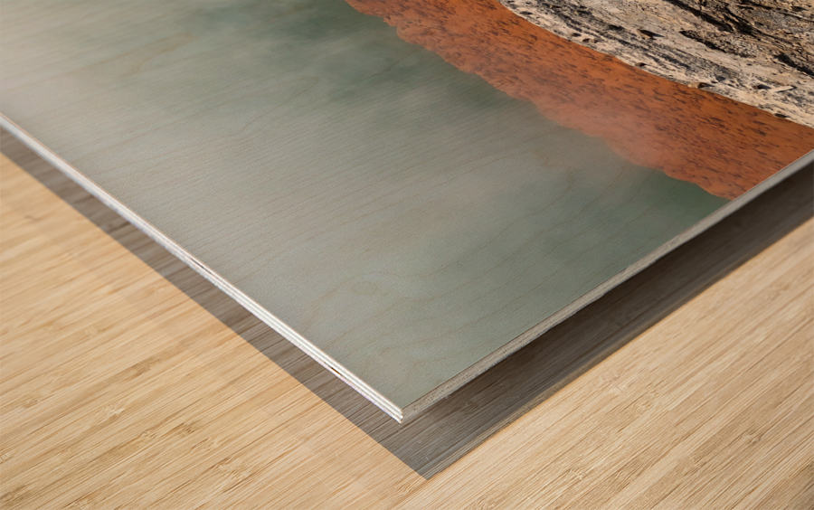 Wai O Tapu Thermal Wonderland 1 Wood print