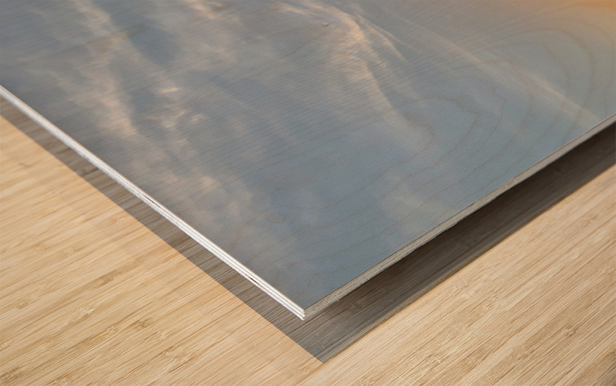 Sunset and Puddles Wood print