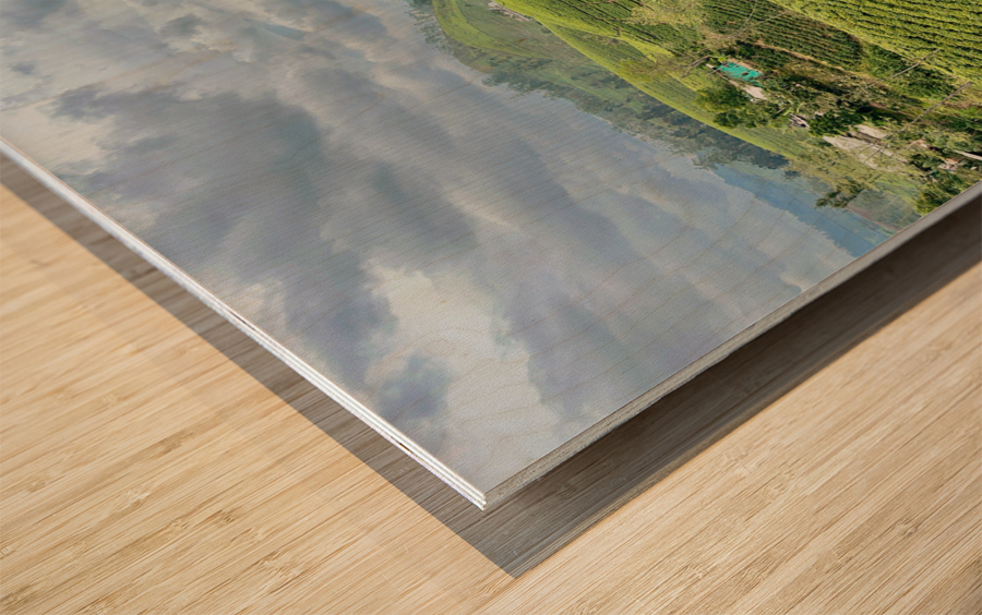 Tea Plantation Hills Wood print