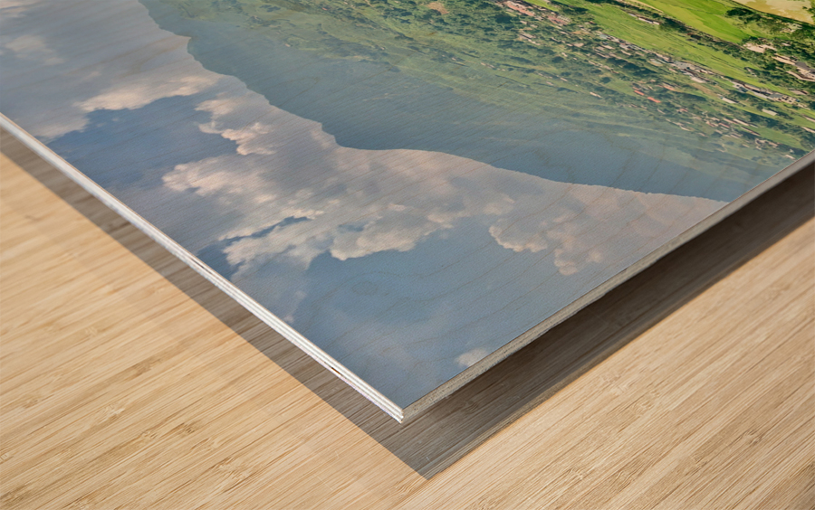 Rice Fields in Sapa 5 Wood print