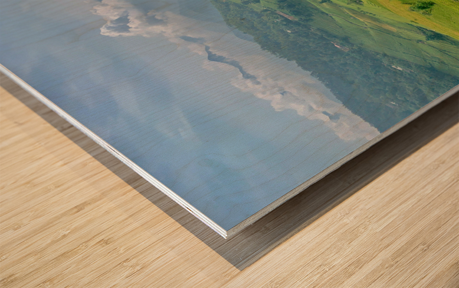 Rice Fields in Sapa 3 Wood print