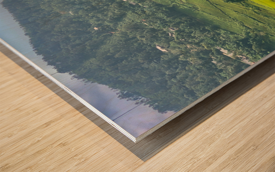 Rice Fields in Sapa 1 Wood print