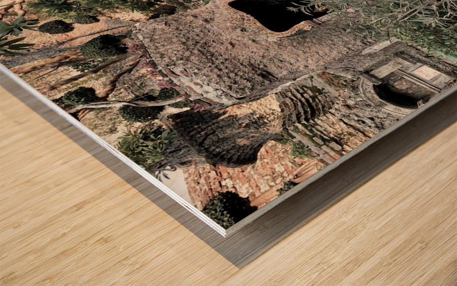 Yin Yang Entrance Wood print