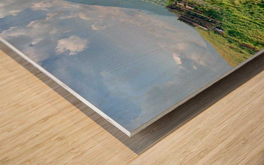 Rice Fields in Sapa 4 Wood print