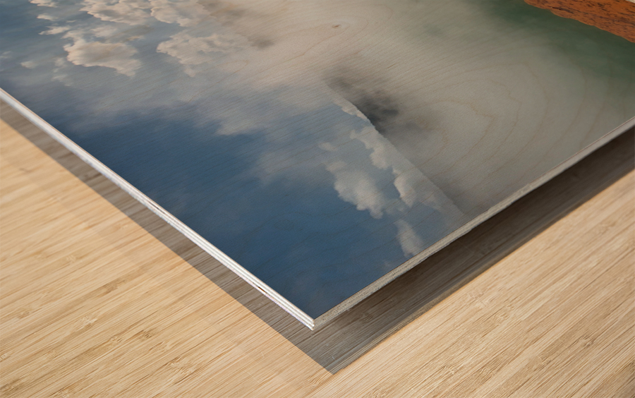 Wai O Tapu Thermal Wonderland 2 Wood print