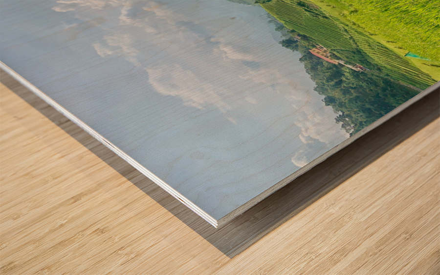 Rice Fields in Sapa 2 Wood print