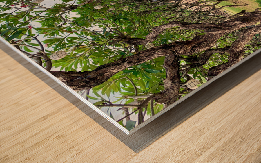 Fort Santiago Manila 3 Wood print