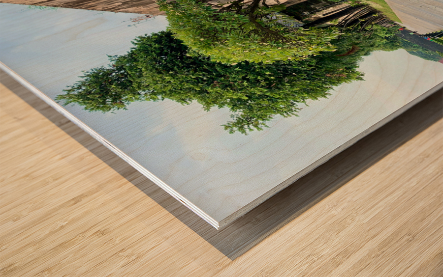 Fort Santiago Manila 2 Wood print