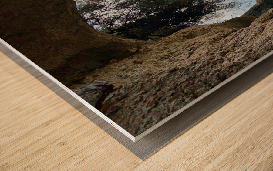 Kayaking Out of a Cave Wood print