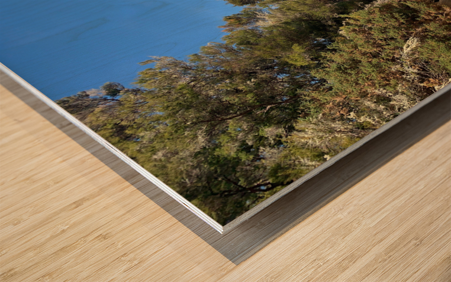 Abel Tasman National Park New Zealand 3 Wood print