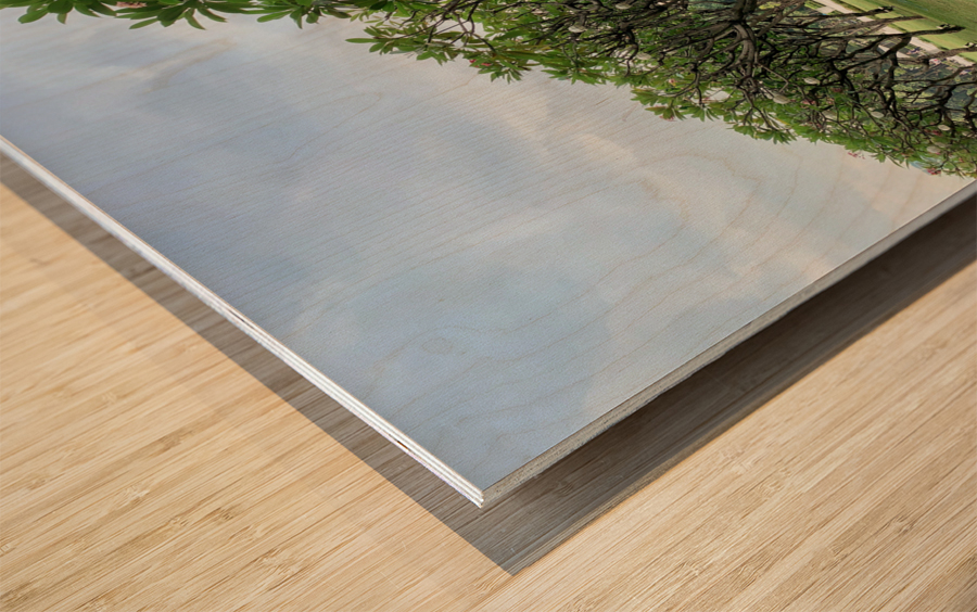 Tree in Line Wood print