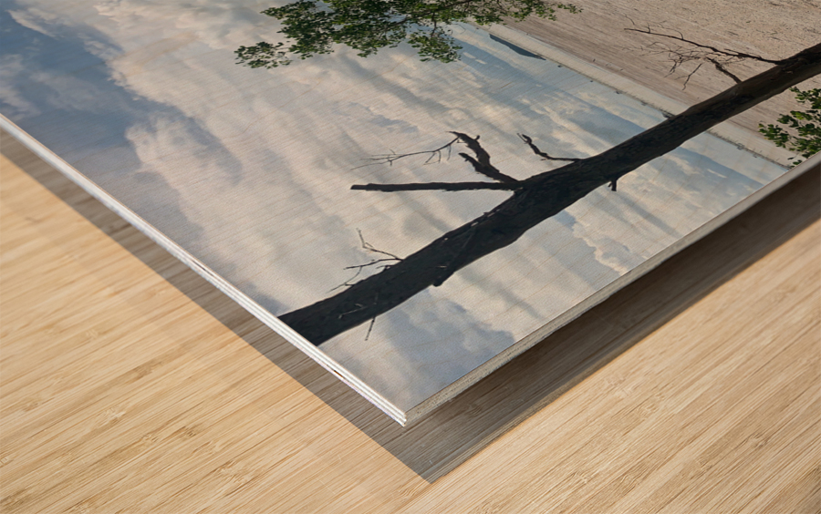 The Lonely Tree 2 Impression sur bois