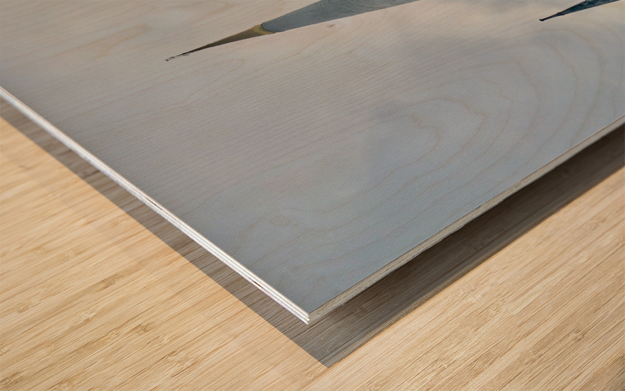 Wat Phra Mahathat Woramahawihan Temple Nakhon Si Thammarat Wood print