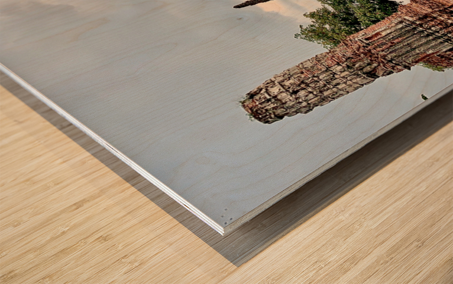 Ayutthaya Historical Park Temples 1 Wood print