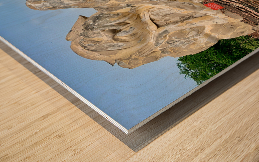 Ayutthaya Historical Park Temples 4 Wood print