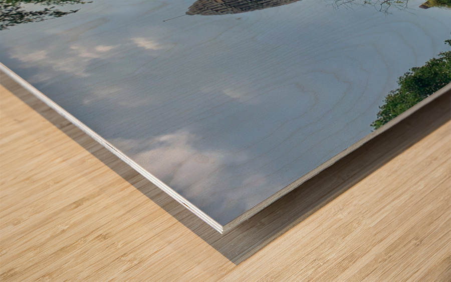 Ayutthaya Historical Park Temples 10 Wood print