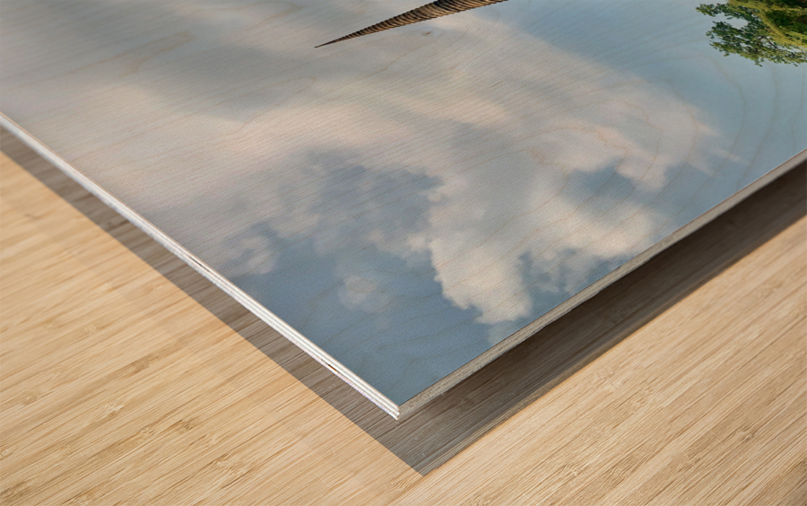 Ayutthaya Historical Park Temples 5 Wood print