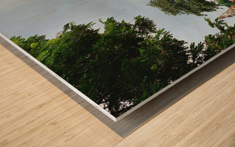 Ayutthaya Historical Park Temples 3 Wood print