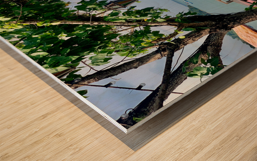 Patio with a View Wood print