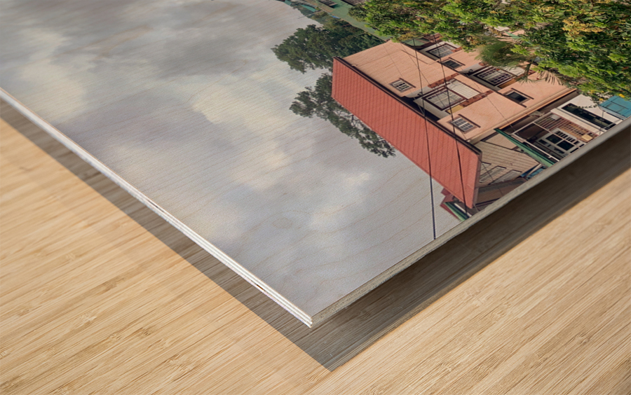 Around Banaue Wood print