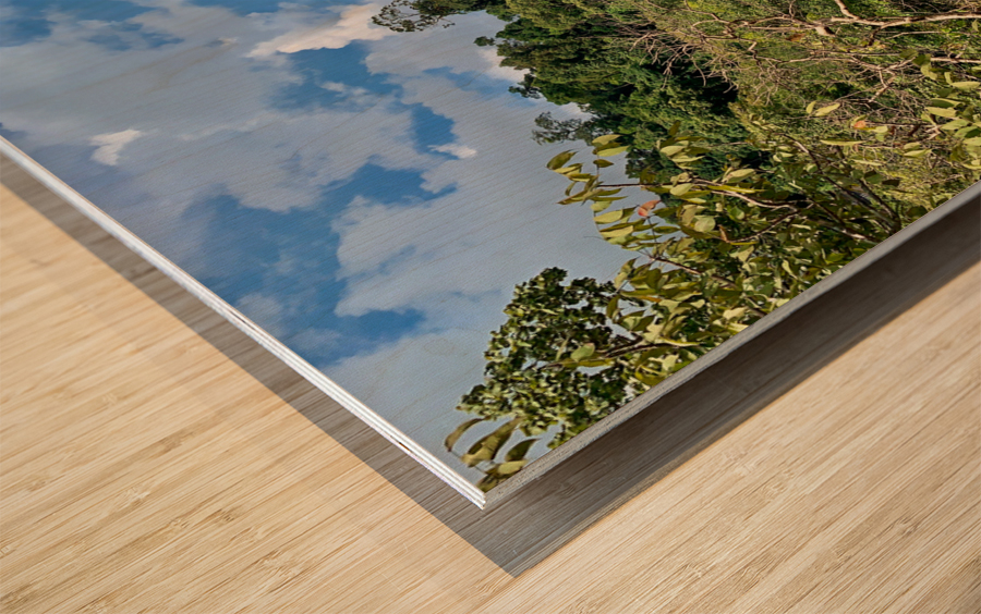 The Rock Viewpoint Laos Wood print