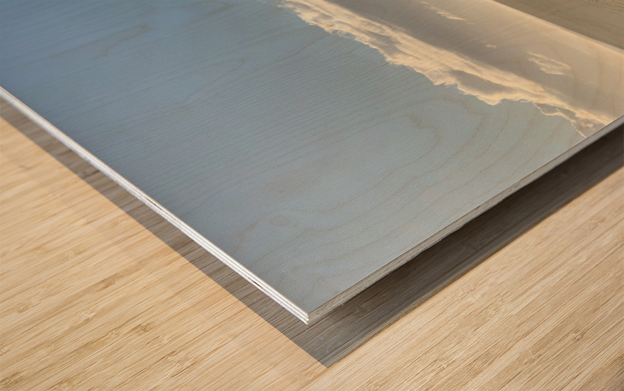 Alone on the Beach 2 Wood print