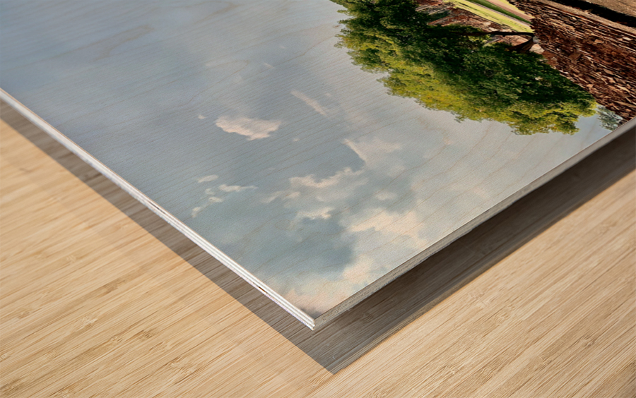 Ayutthaya Historical Park Temples 9 Impression sur bois