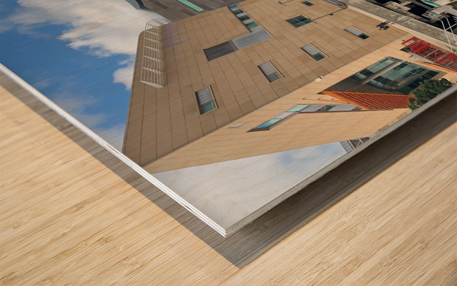 Museum of New Zealand Te Papa Tongarewa Wood print