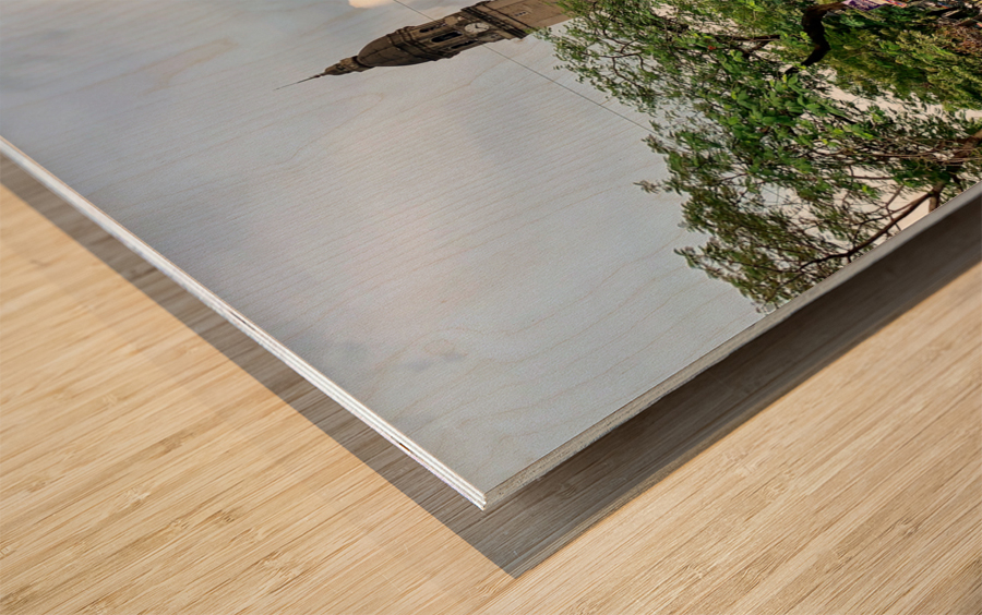 The Manila Cathedral Impression sur bois