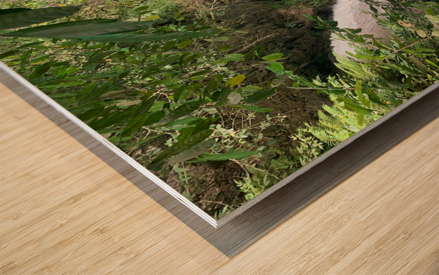 Kawasan Falls Philippines 1 Wood print