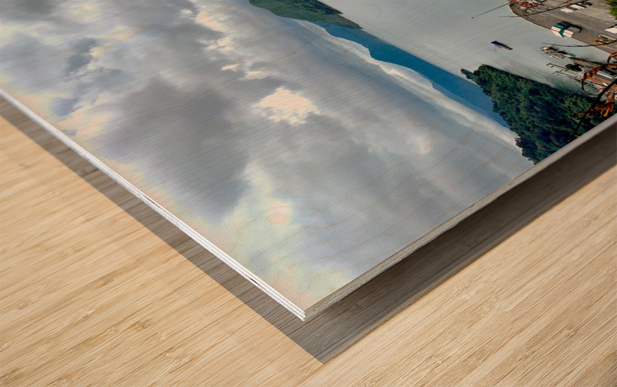 Pictons Ferry New Zealand Wood print