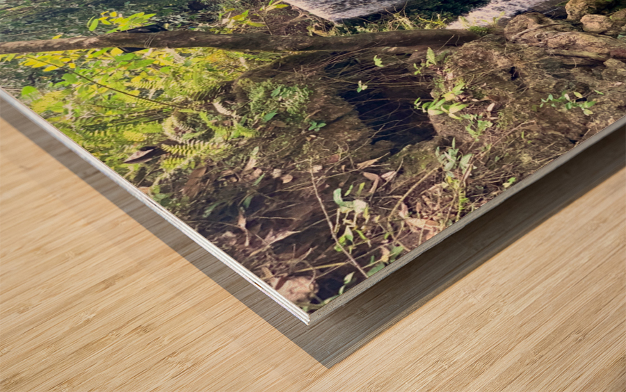 Kawasan Falls Philippines 2 Wood print