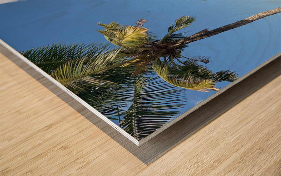 Nice View on the Blue Water Wood print