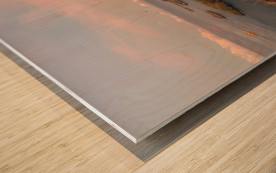 Padar Island Indonesia 1 Impression sur bois