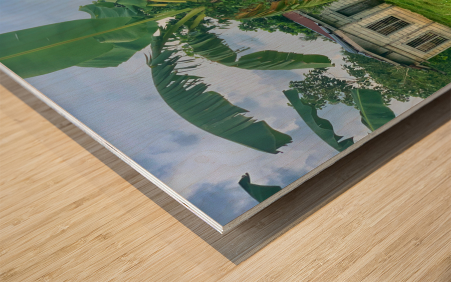 House on the Farm in the Philippines 1 Wood print