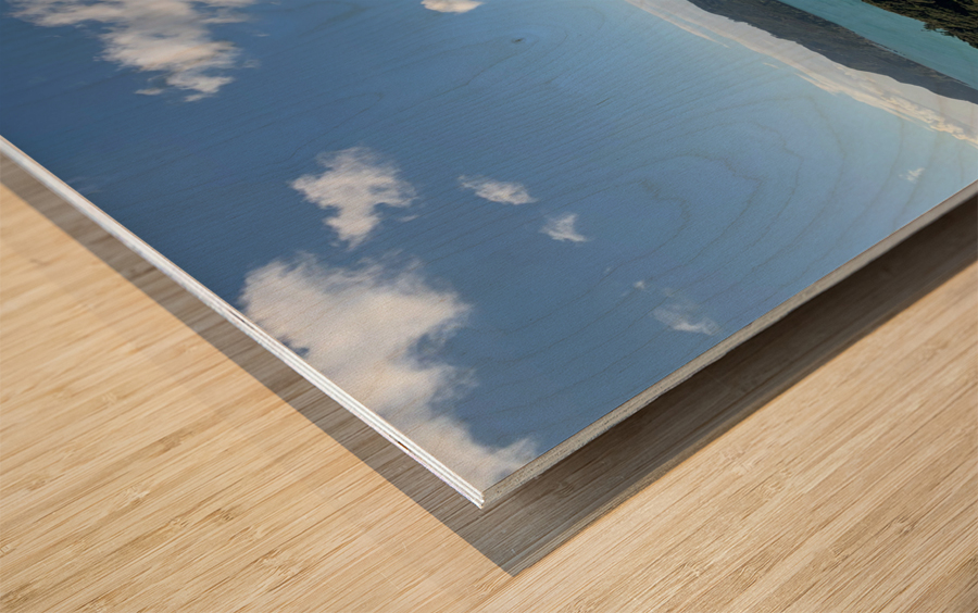 Viewpoint in Rangikapiti Pa Historic Reserve New Wood print