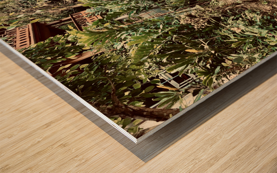 Mae Kampong Village Thailand 1 Wood print