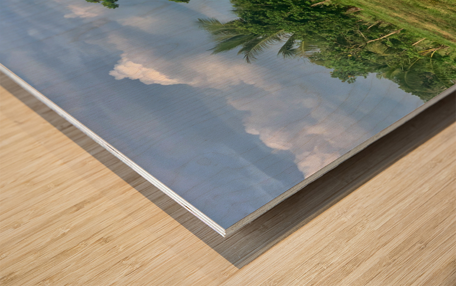 House on the Farm in the Philippines 2 Wood print