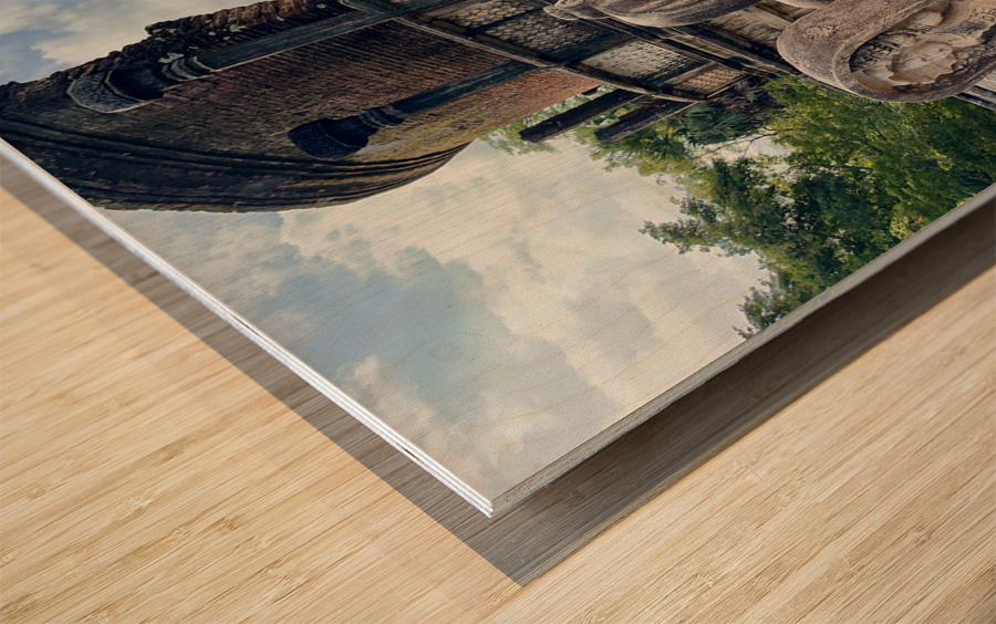 The Sacred City of Polonnaruwa 2 Wood print