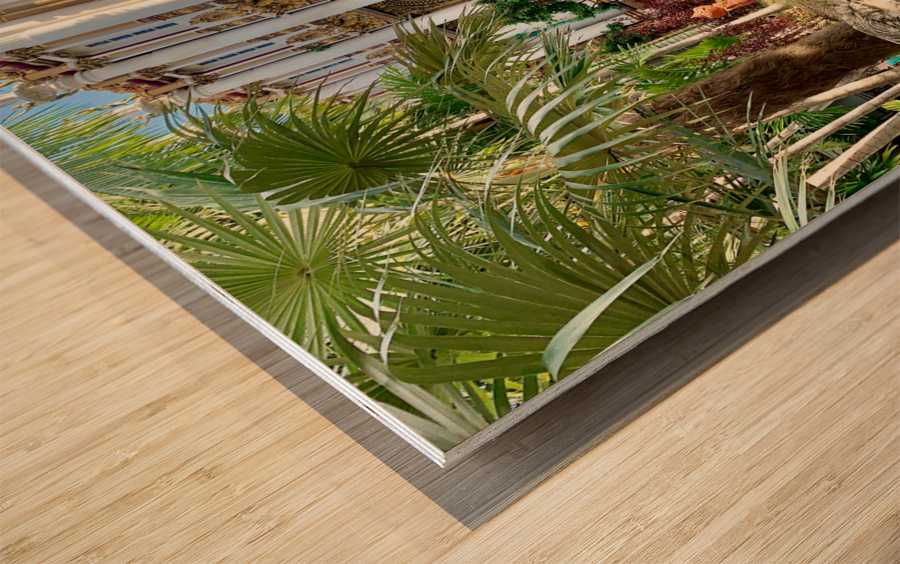 Beautiful Thai Temple Garden Wood print