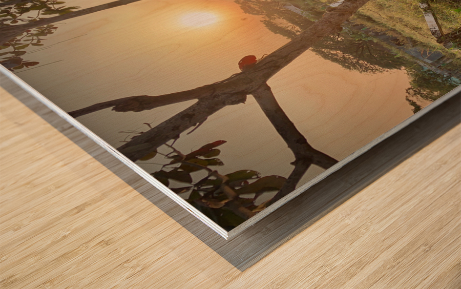 Cooking outside in Myanmar at Sunset Wood print