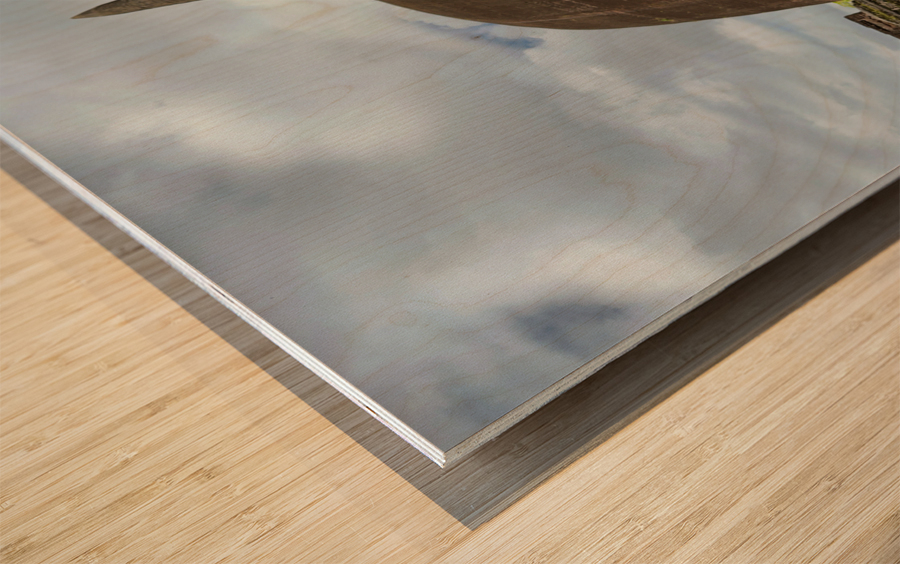 The Sacred City of Polonnaruwa 7 Impression sur bois