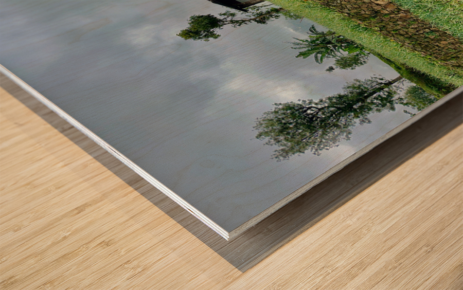 Leveled Field House Wood print