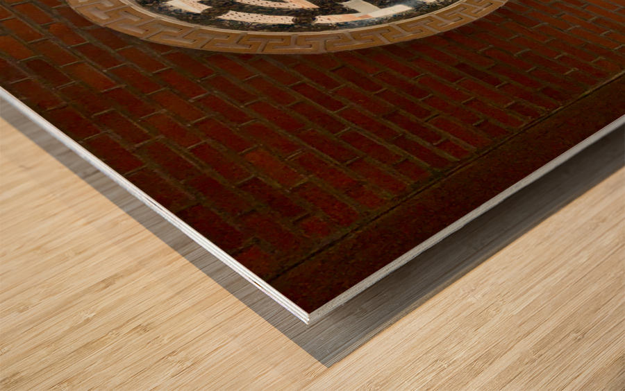 Brickwall with Temple Window Wood print