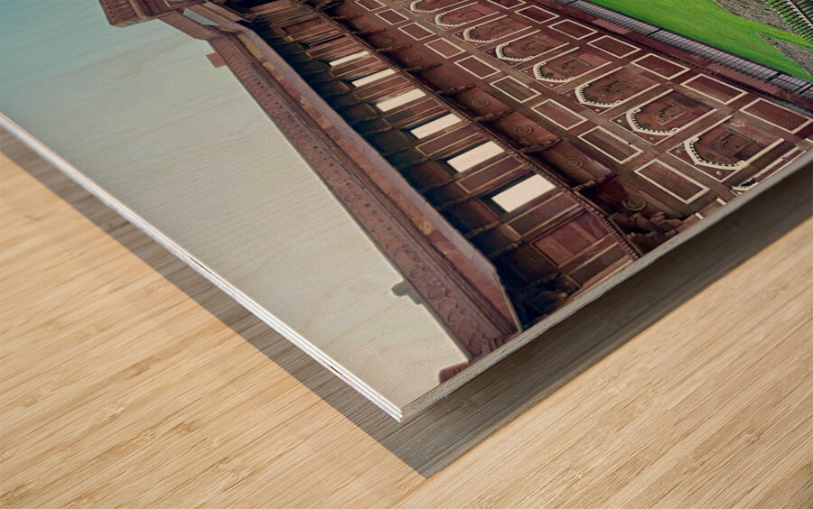 Agra Fort 1 Wood print