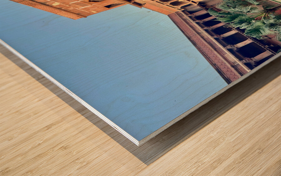 Agra Fort 2 Wood print