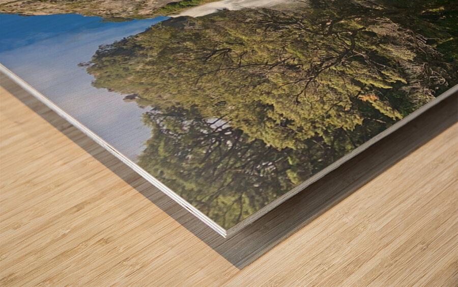 Arthur s Pass Waterfall New Zealand Wood print